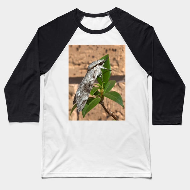 The Moth Baseball T-Shirt by Geoff79